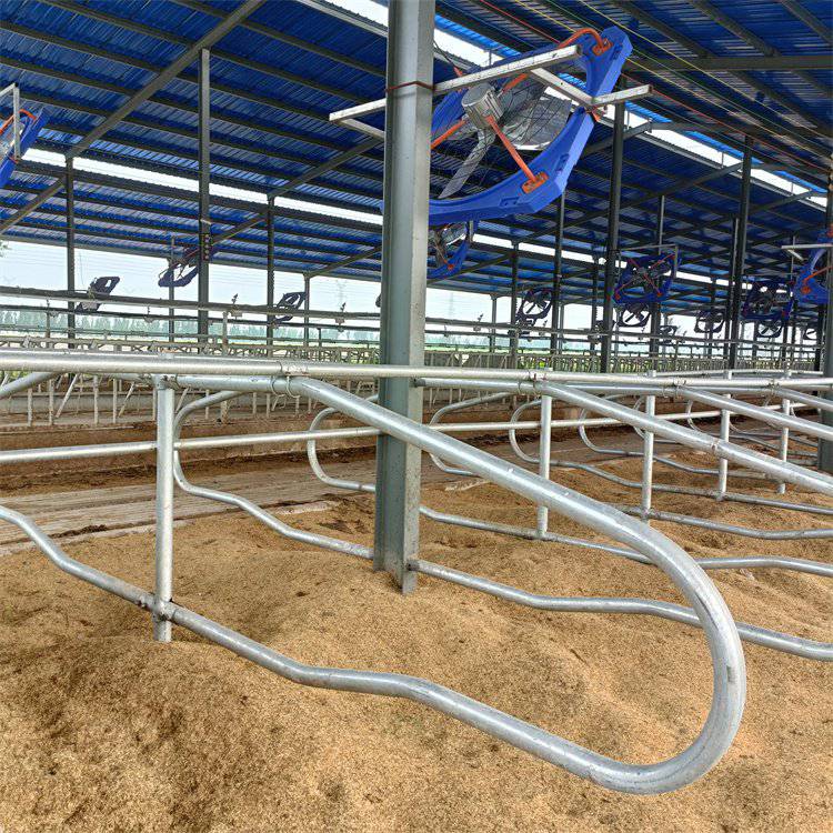 牛卧床使用的注意事项