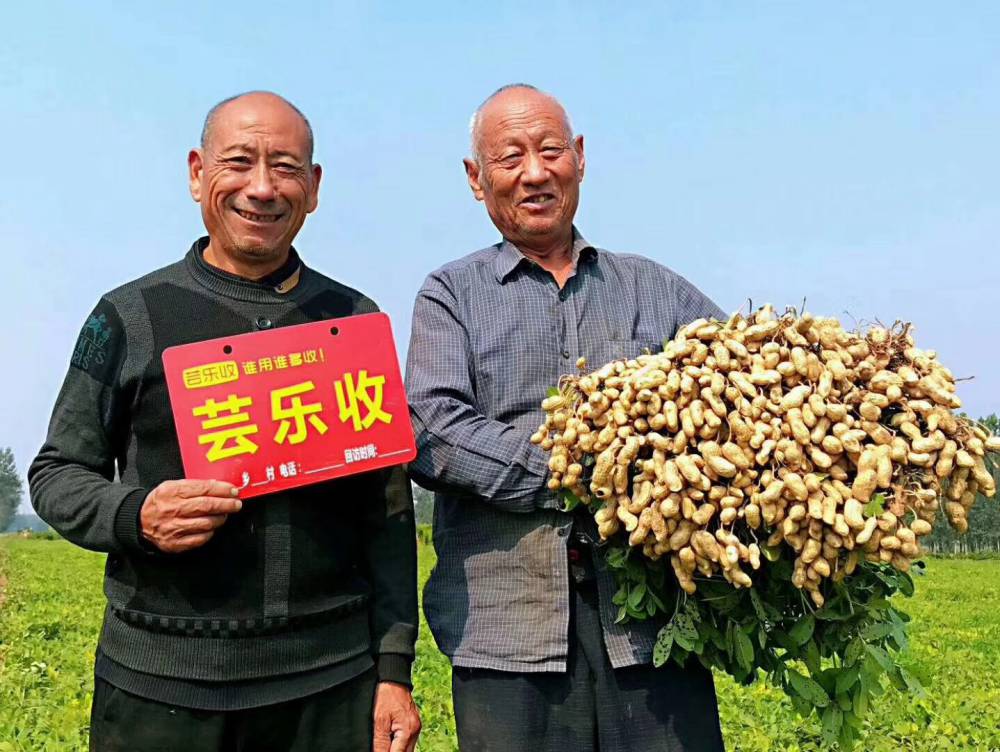 芸乐收花生增产药花生三遍药芸乐收怎么用花生高产农药绿业元批发