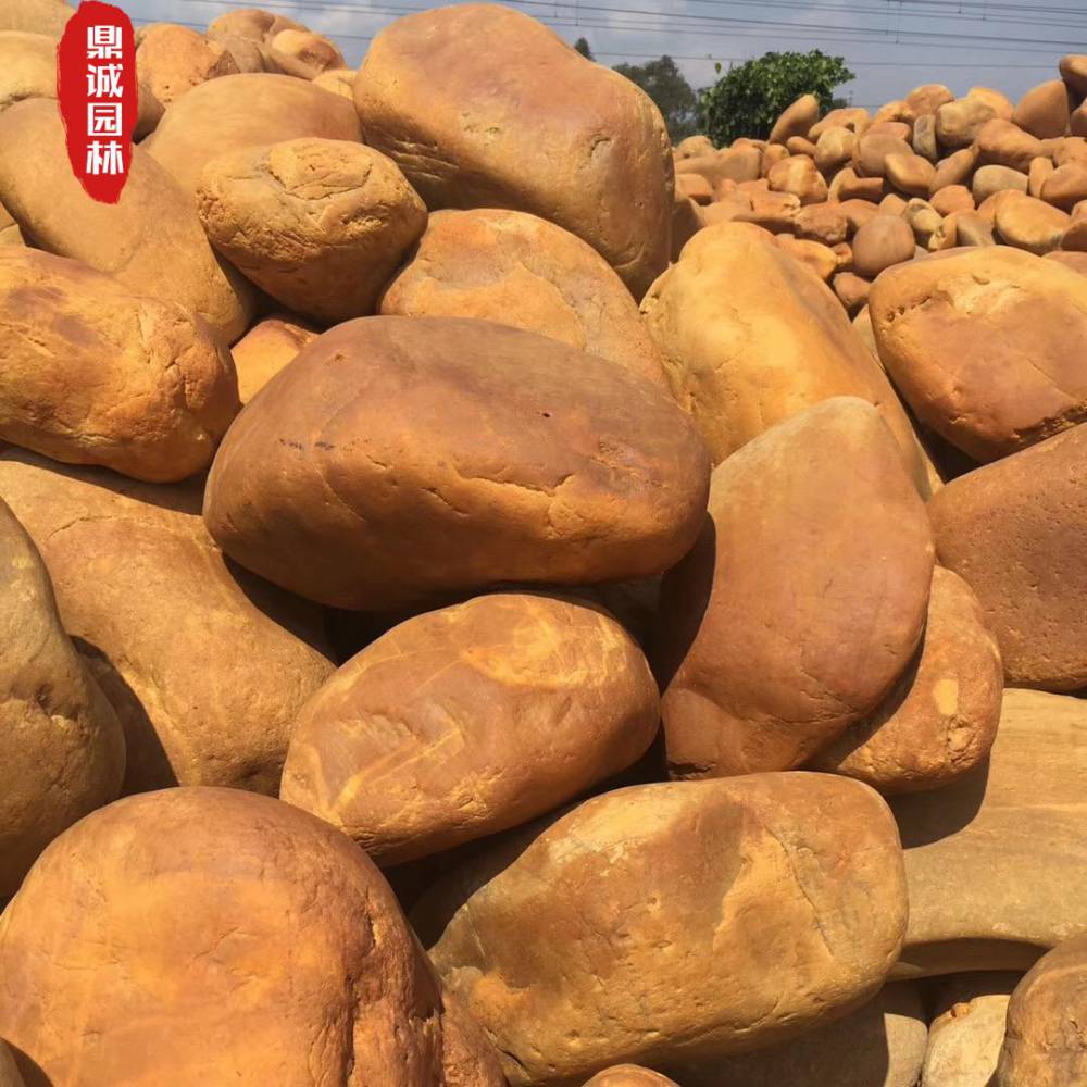 扁形黄蜡石四四方方的黄色石头长条形状黄石