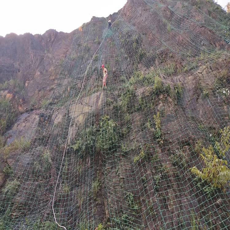 1717孔爬山虎安全挂网高速边坡种植绿化植物爬藤网