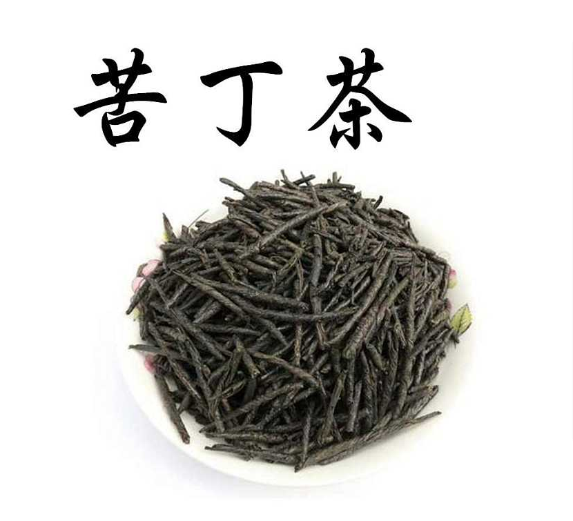 中药材苦丁香功效作用小山萝卜龙喳口叉头草蛾子草杨梅蒜羊奶草野苦麻