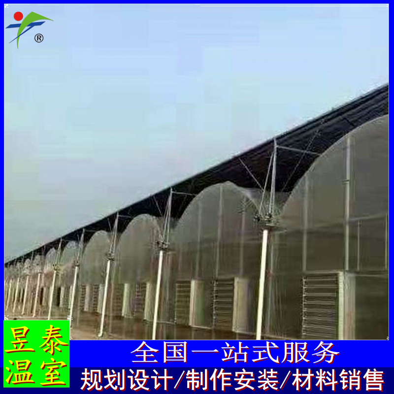 单体拱棚春秋棚冷棚薄膜大棚蔬菜种植昱泰温室材料YTWSCQ1099