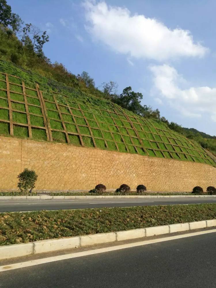 边坡绿化喷草机青山绿水客土喷播机绿水青山就是金山银山喷播机