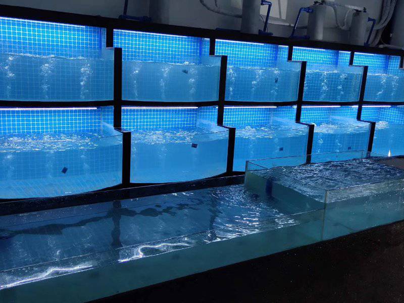 深圳龙华海鲜鱼池多少钱-龙华餐饮海鲜池