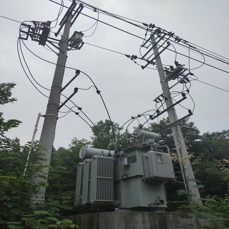 10kv高压馈电自动调压器svr3150kva109户外线路稳压变压器