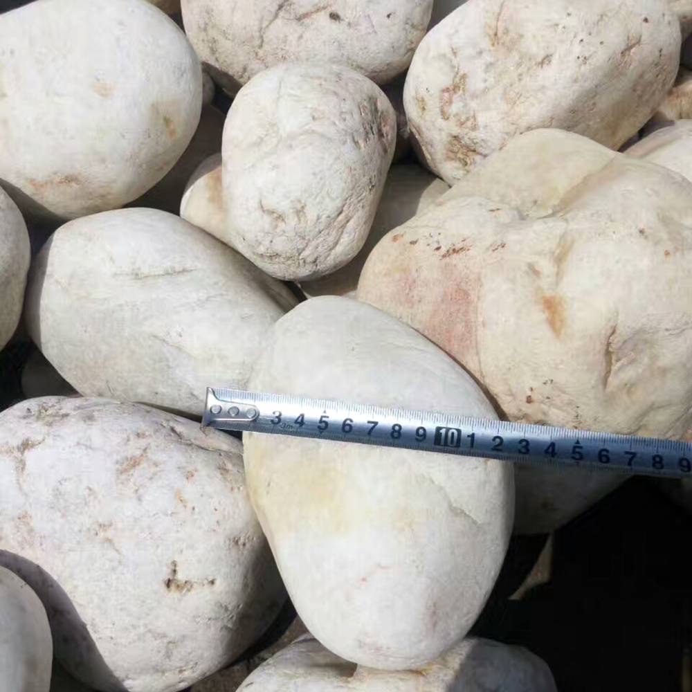 机制鹅卵石 变压器用鹅卵石 5-8厘米鹅卵石 大卵石