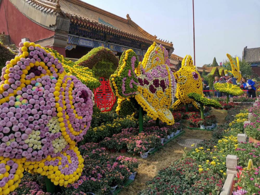 云南文山回家过年主题绿雕设计立体花坛的仿真颜色鲜艳的节庆雕塑