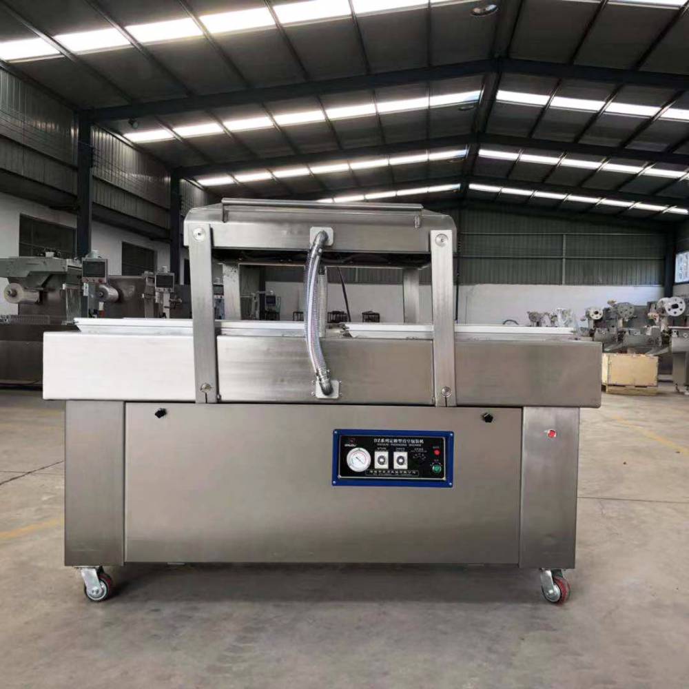 蜜枣粽子dz6002s封口真空包装机