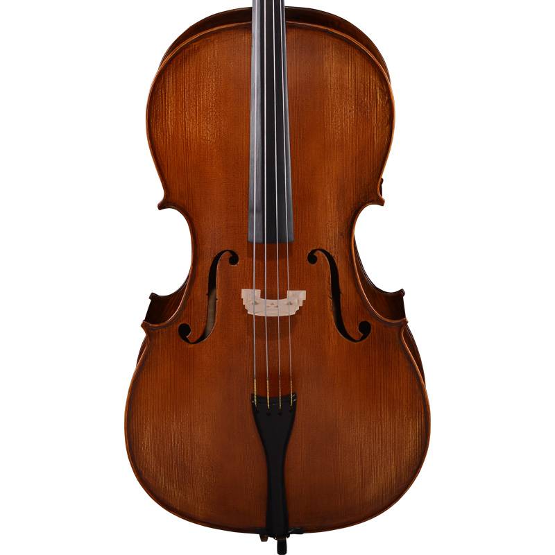 公司是中国提琴协会会长单位，是国家9项提琴行业标准、3项吉他