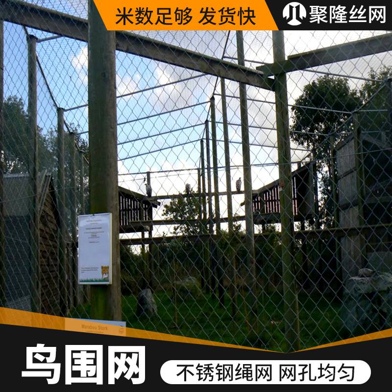 大型不锈钢百鸟园鸟围网 聚隆菱形防飞网支持定制