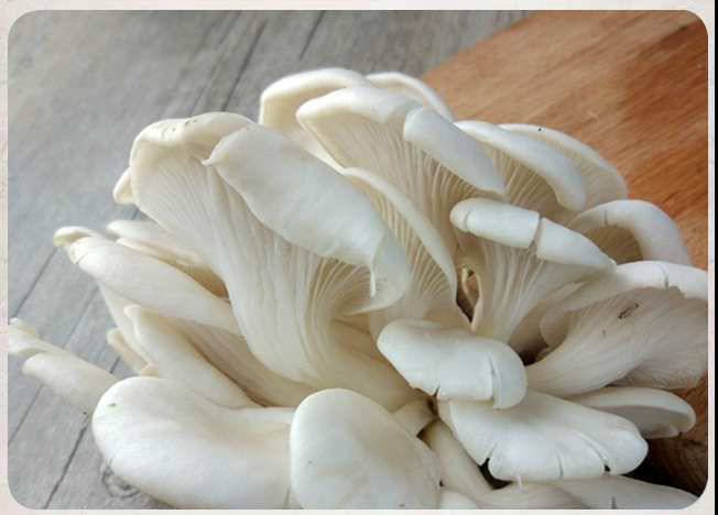 富硒食用菌粉有机硒200600ppm