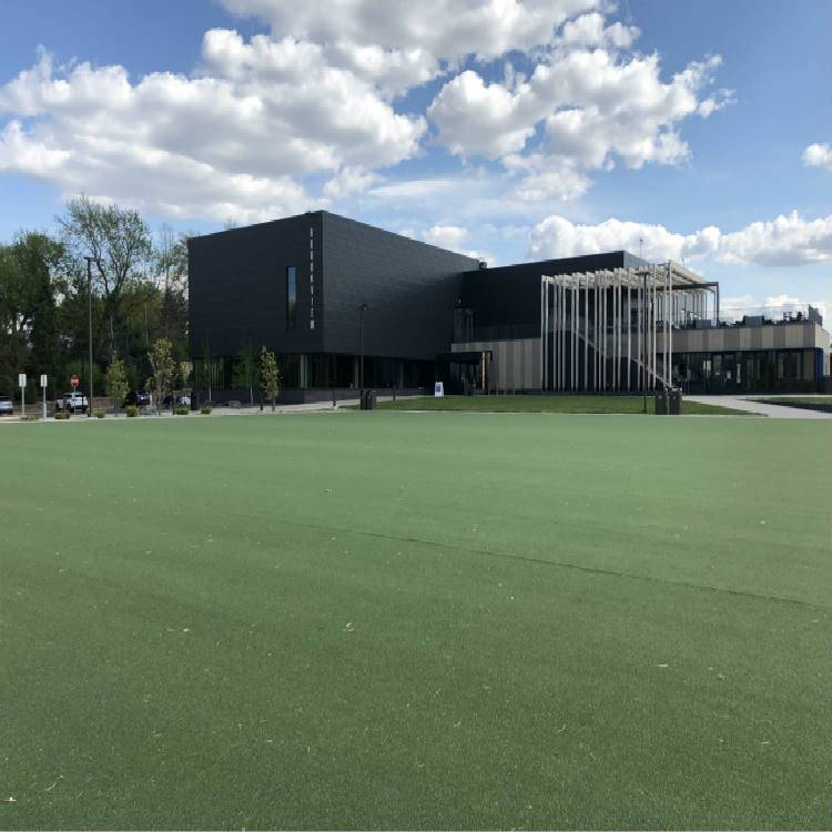 供应浙江地区草地滚球地毯新品含第三代草地掷球场地运动地毯