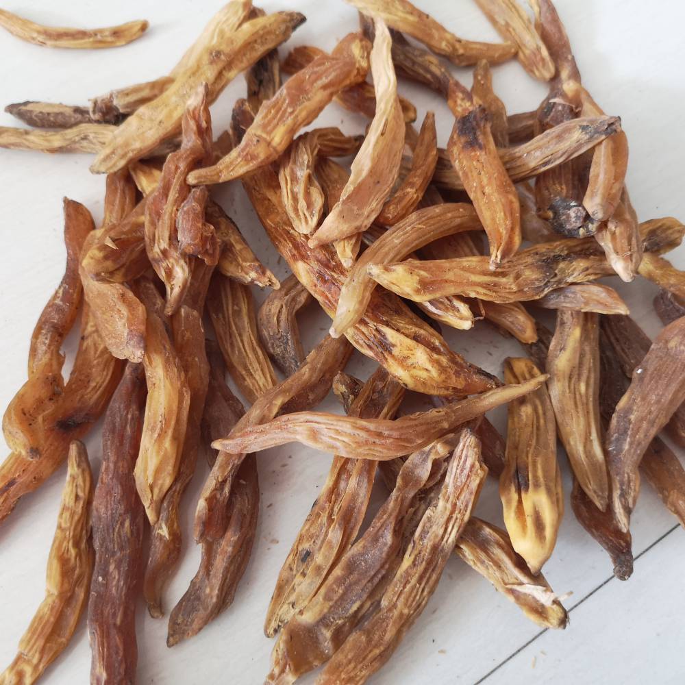 野生天门冬天门冬价格