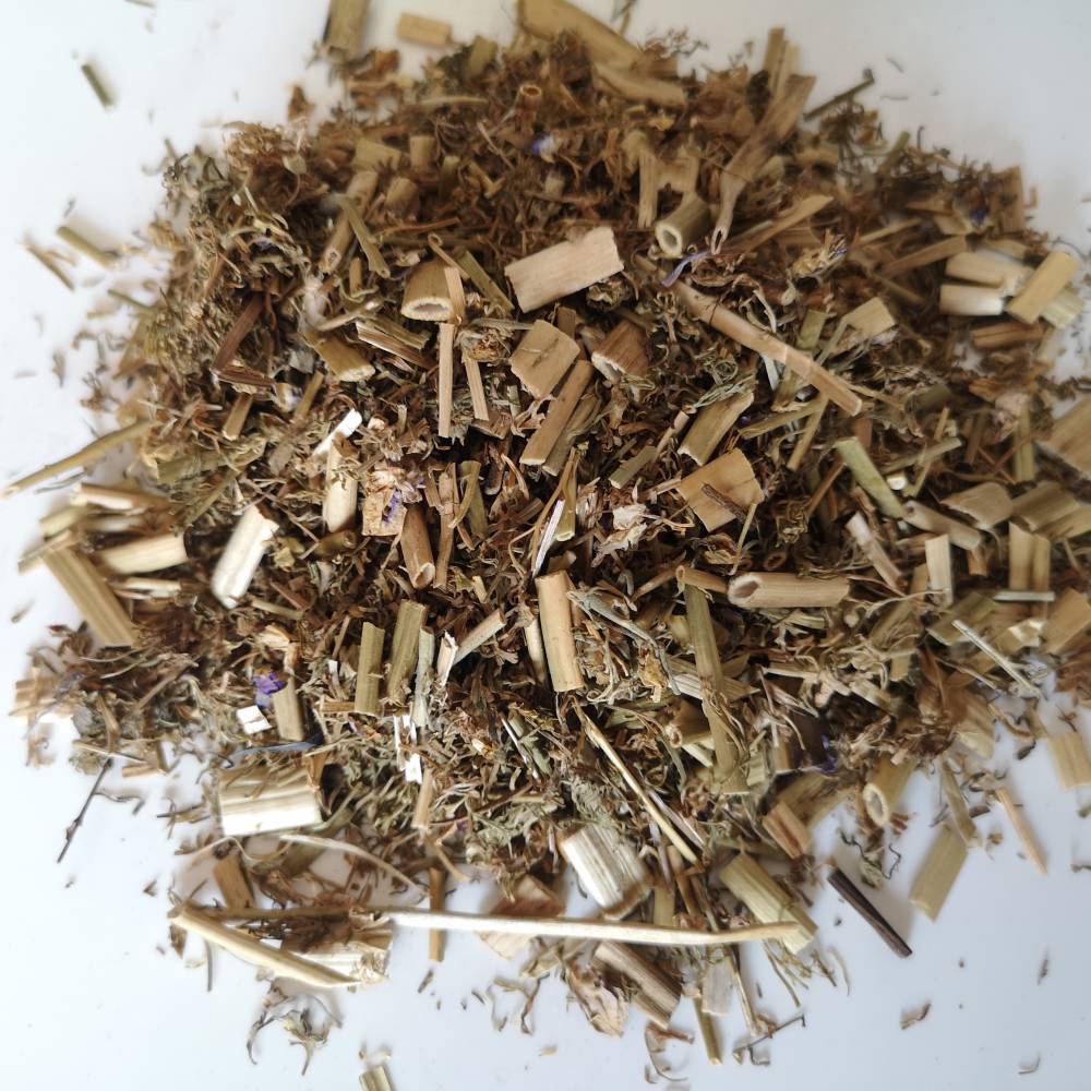 冷背药材飞扬草飞扬草功效中药