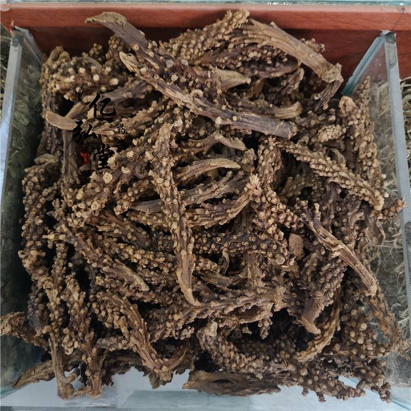 虎鞭草虎鞭草价格虎鞭草多少钱一斤