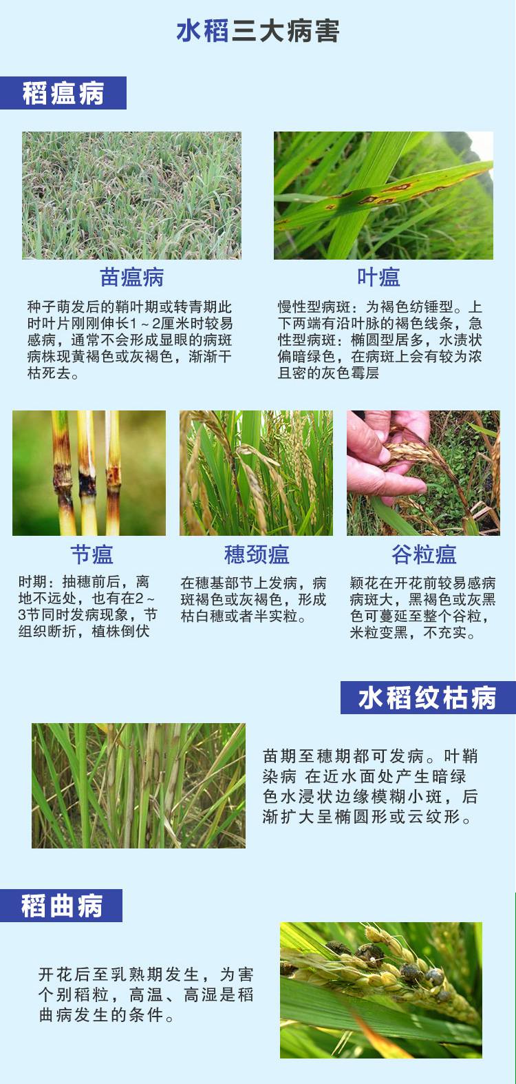 农药杀菌剂展开有效成分稻瘟灵己唑醇用途水稻稻曲病纹枯病稻瘟病