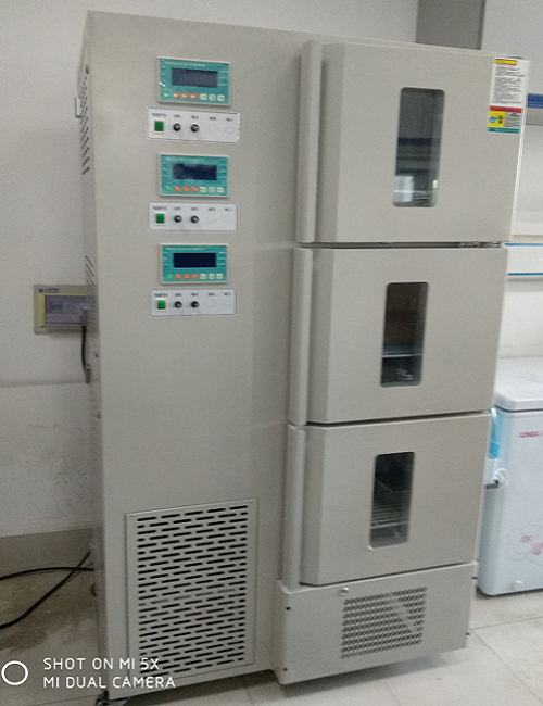 上海丙林两温区生化培养箱