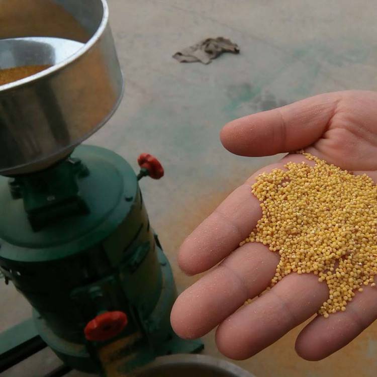 富民小型稻谷碾米机家用电谷子磨米机立式砂轮式水稻去皮机