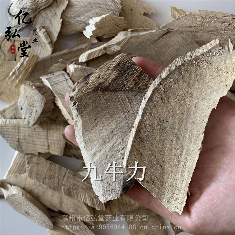 野生九牛力一公斤批发