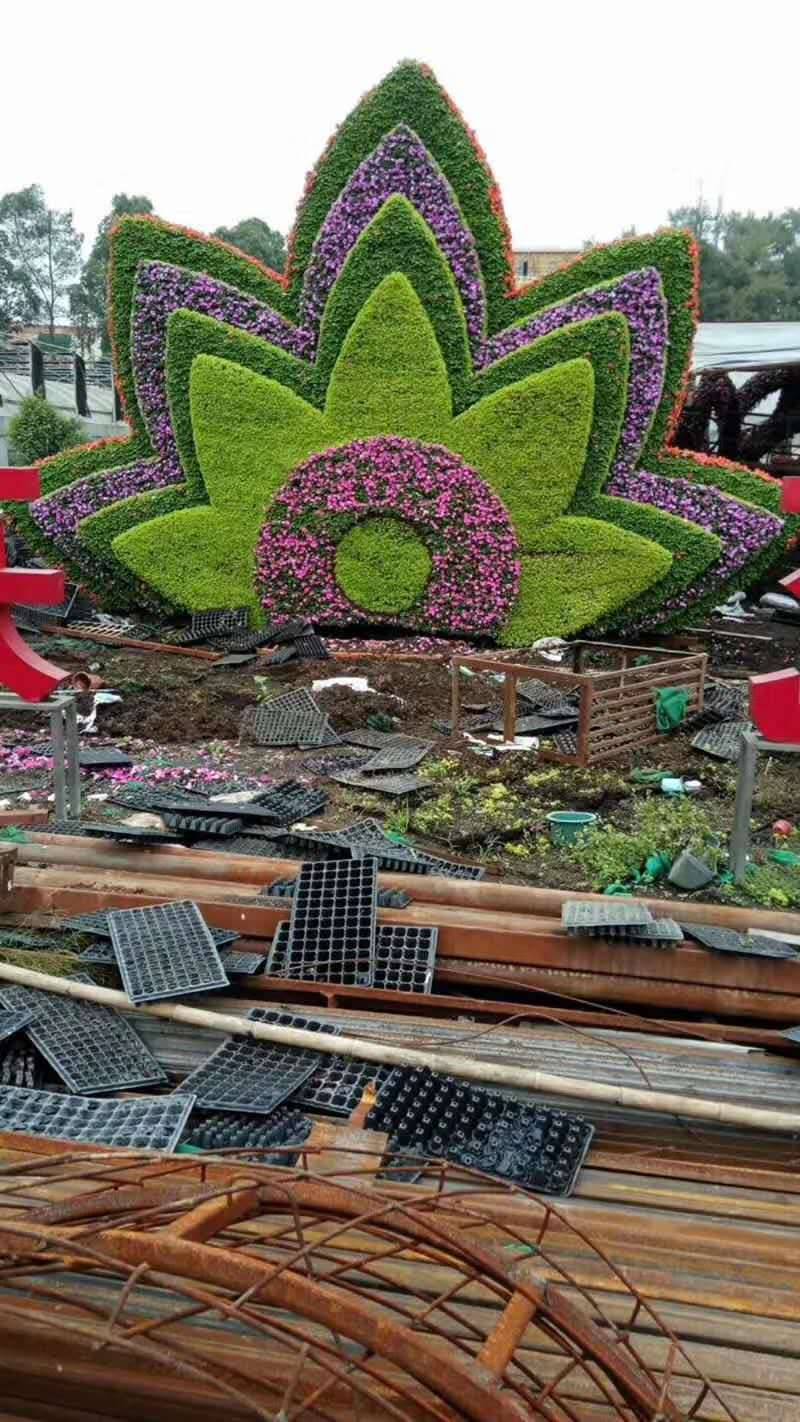 陕西西安创意动植物真植物造型绿雕郫都区仿真绿雕制作