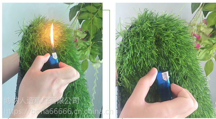 厂家草坪批发