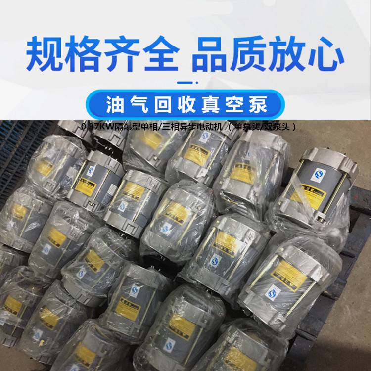 加油站二次油气回收泵单头双头泵220v380v防爆电机