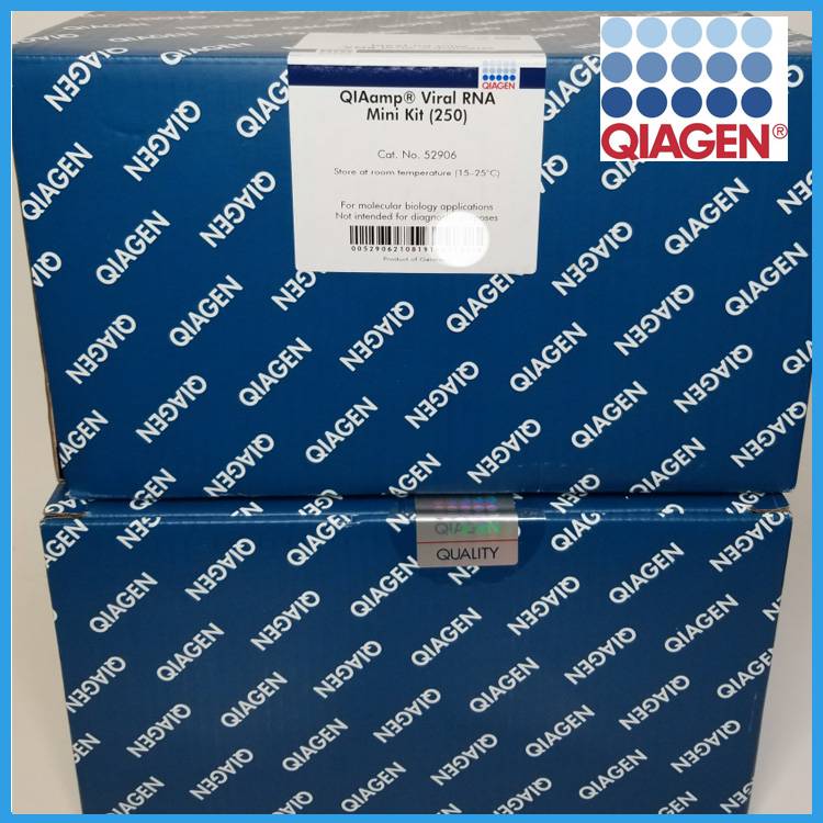凯杰Qiagen 提取纯化试剂盒QIAamp Viral RNA Mini Kit 52906