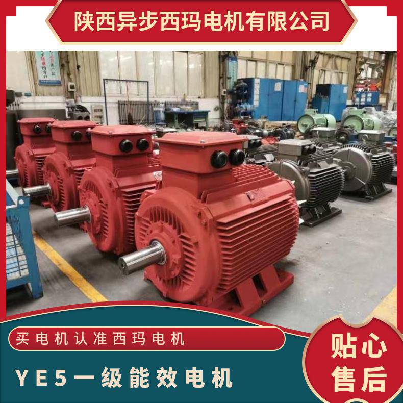 西玛一级能效交流电机IE5 YE4 YE5 355M1-8 132KW 纯铜转子 效*** 立卧