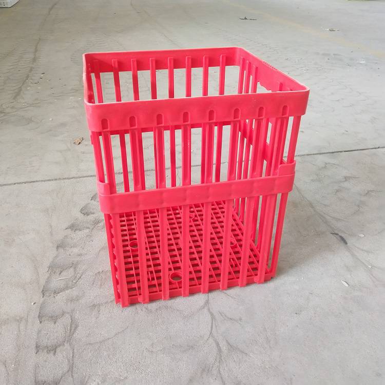 集运指数持续狂飙 集运欧线%集运欧线组织要评