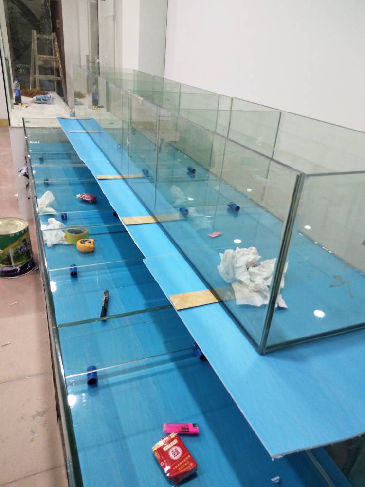 东莞东城玻璃鱼池制作,东莞贝壳类鱼缸