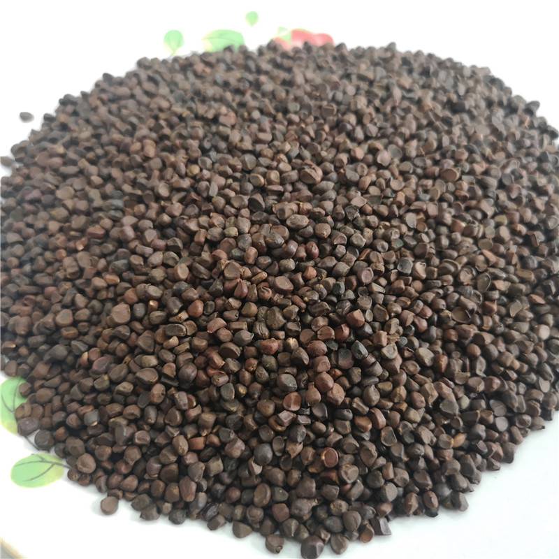 中药材马蔺子马莲子马帚子是什么马蔺子价格多少钱