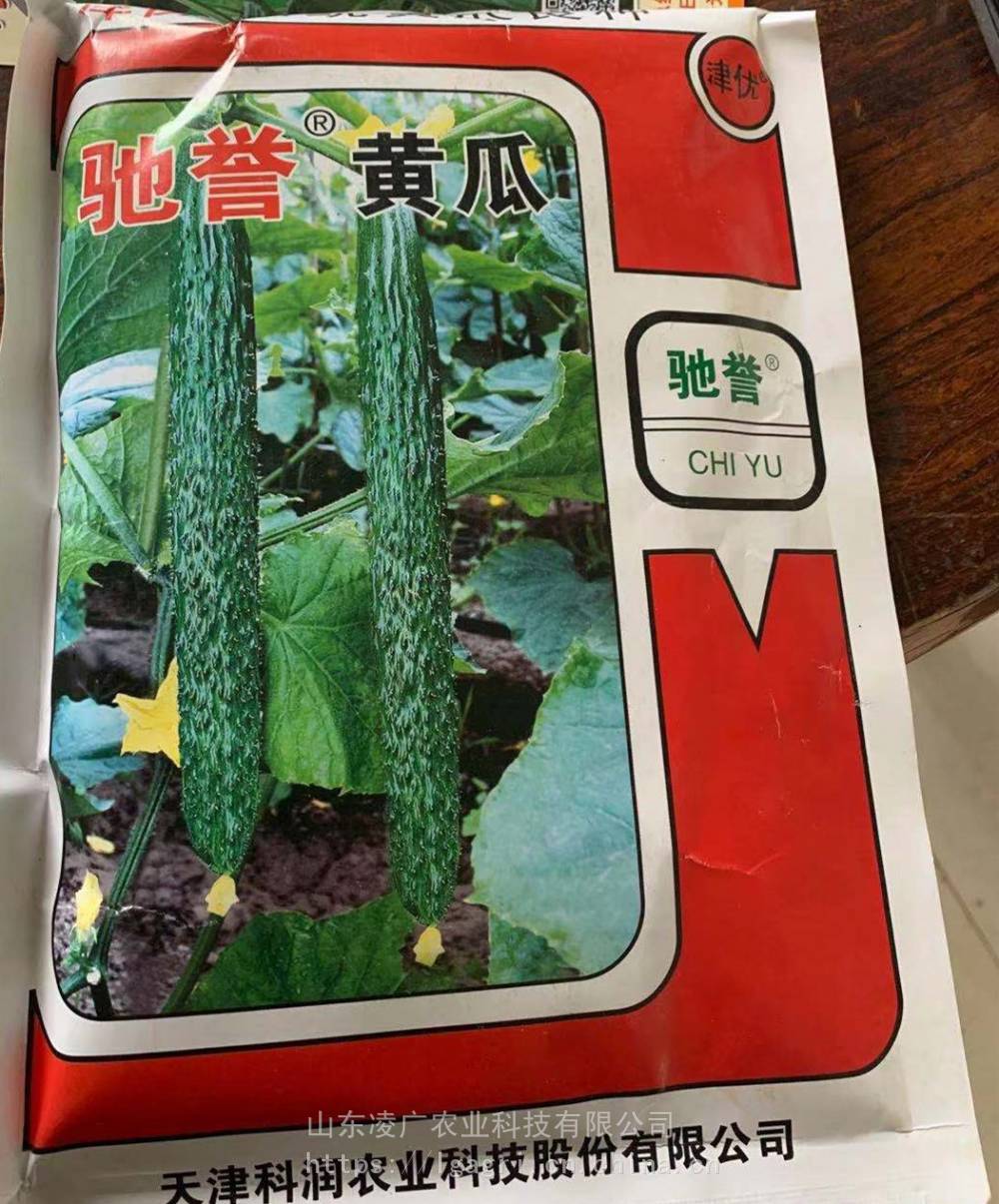 科润99黄瓜品种简介图片