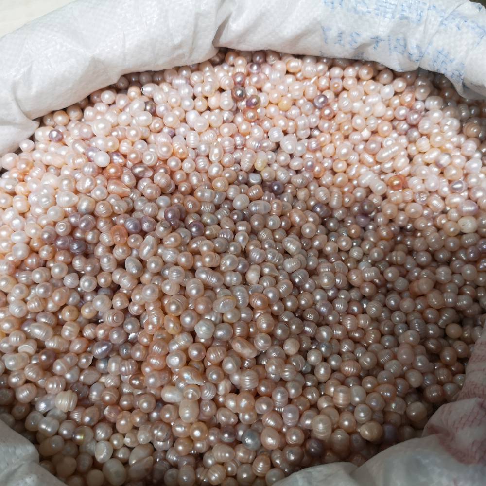 天然珍珠批发珍珠价格珍珠功效