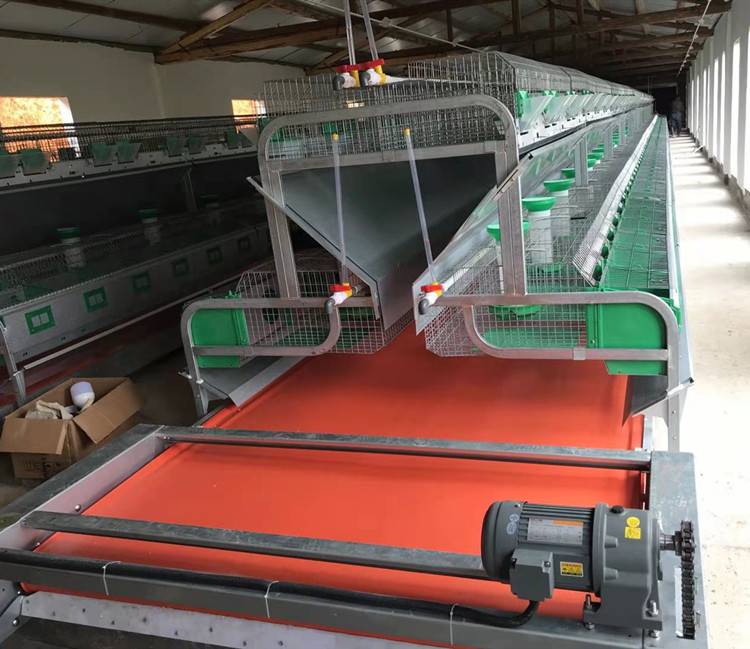 养兔子卫生清洁设备输送带式清粪机