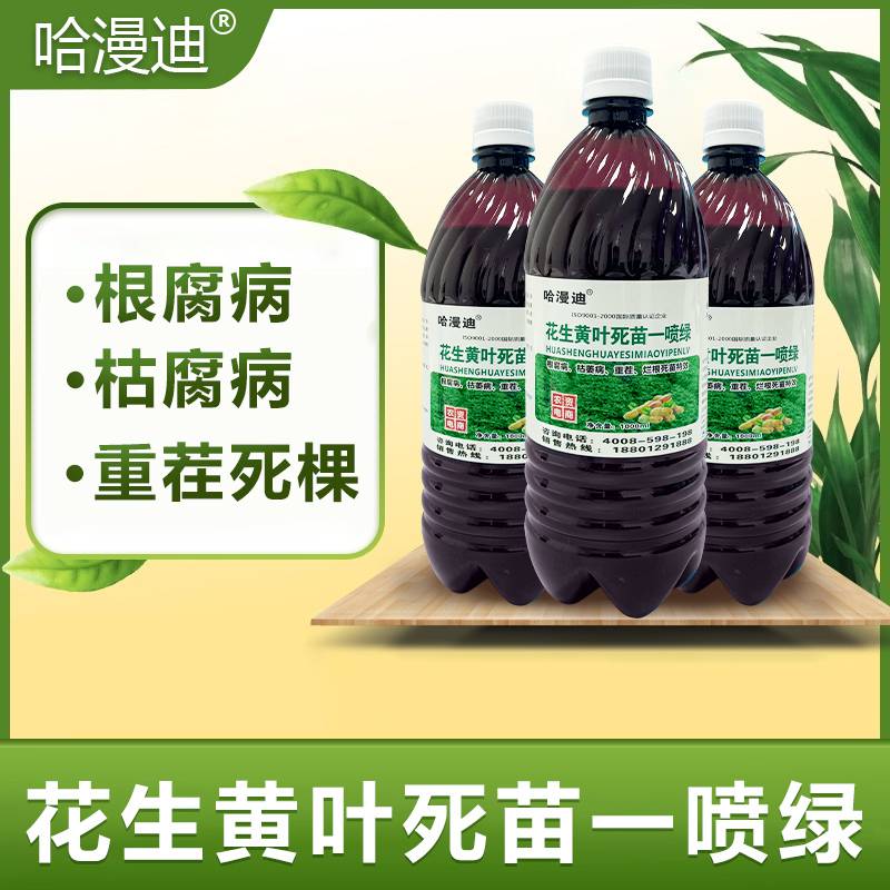 性叶枯病西瓜叶枯病用什么药西瓜细菌性叶枯病西瓜猝倒病用什么药4