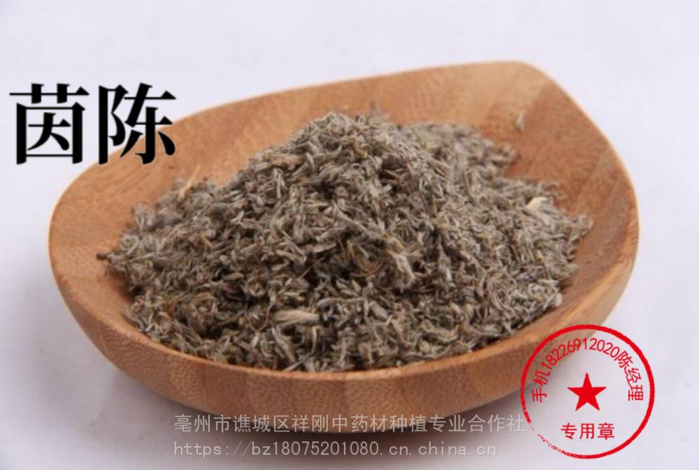 【茵陳的功效與作用 綿茵陳,茵陳蒿,白蒿,絨蒿,猴子毛】價格_廠家