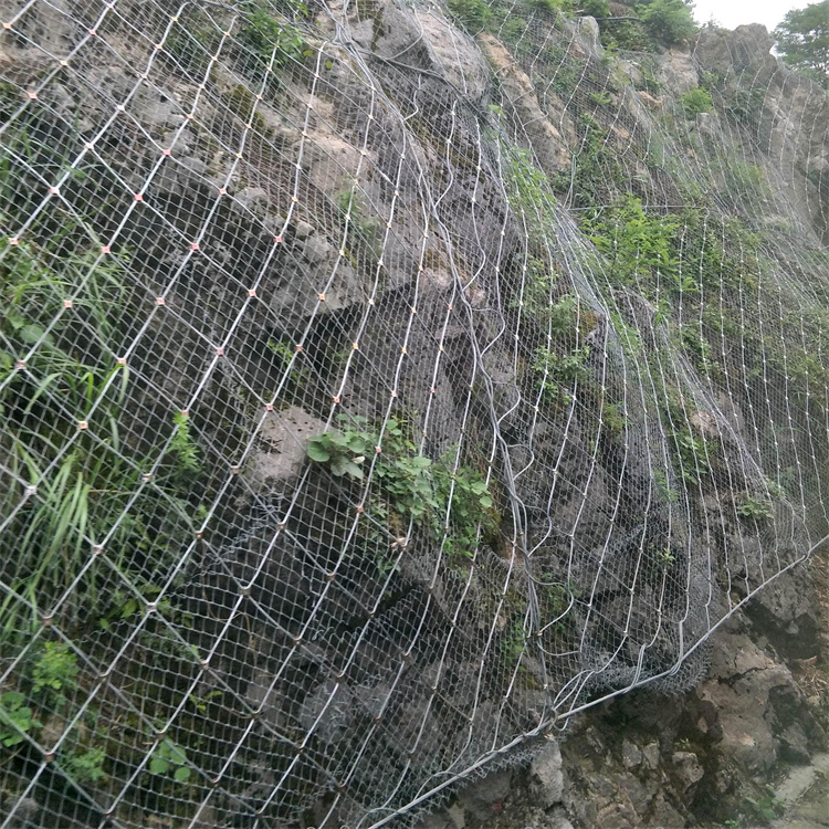 钢丝菱形网 生态绿化防护网包裹岩石主动网双股16mm/2米长
