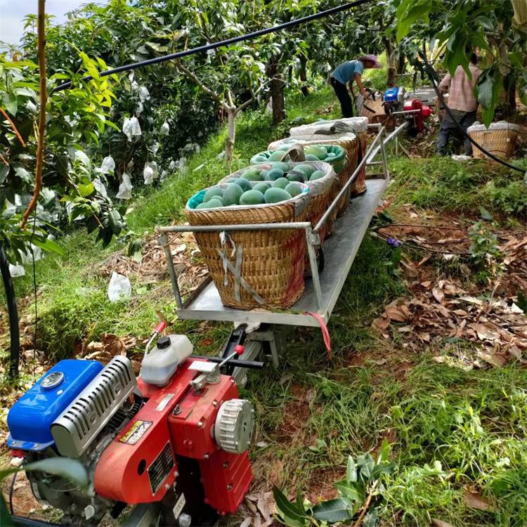 【山地果园运输车 单轨道运输机 农用山地水果运输搬运设备】山东济宁