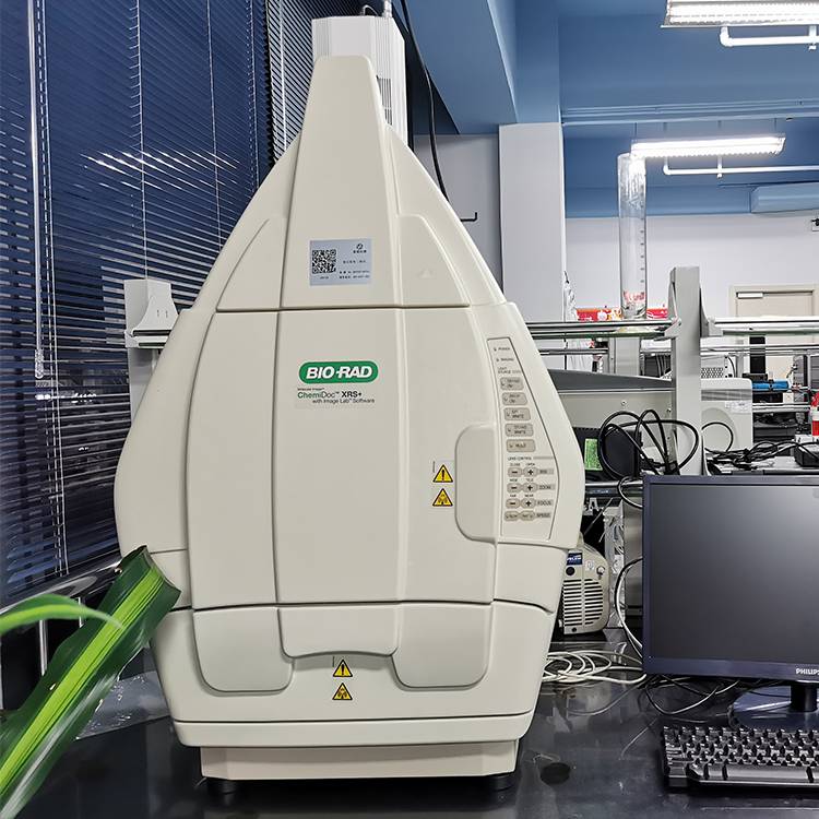 二手伯乐化学荧光凝胶成像仪蛋白纯度bioradxr凝胶成像分析系统蓝光