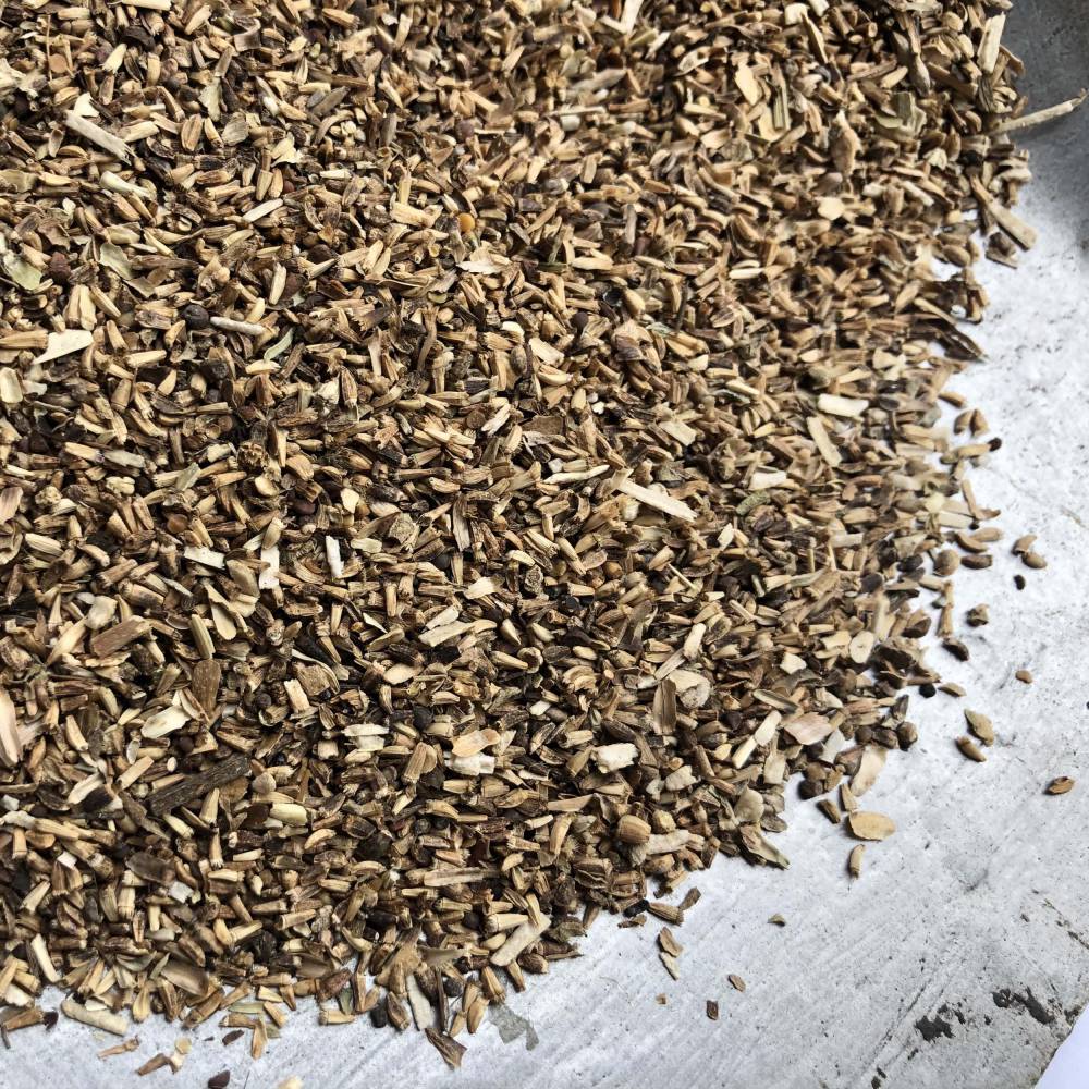 菊苣子菊苣籽中药材菊苣子大货批发