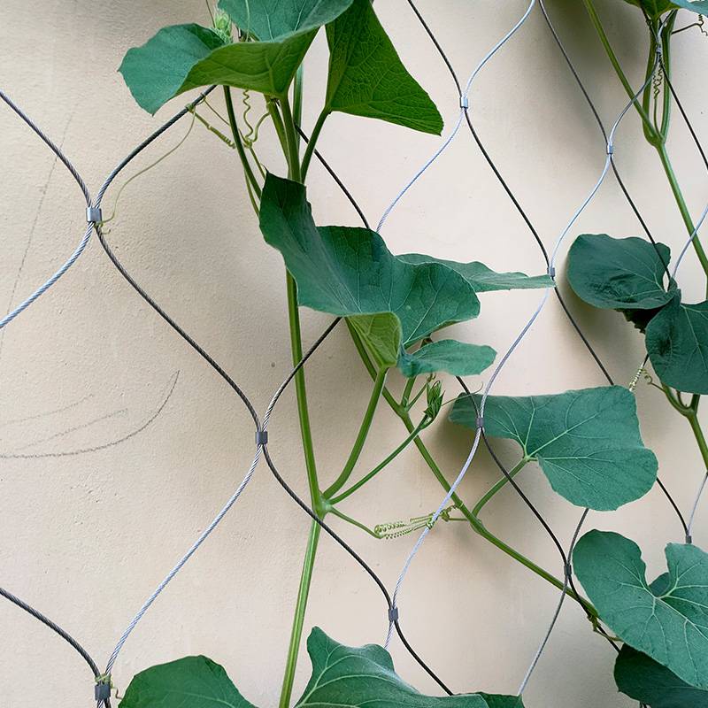 【聚隆耐腐耐锈美观耐疲劳钢丝坡体植物攀爬网】价格_厂家 - 中国供应