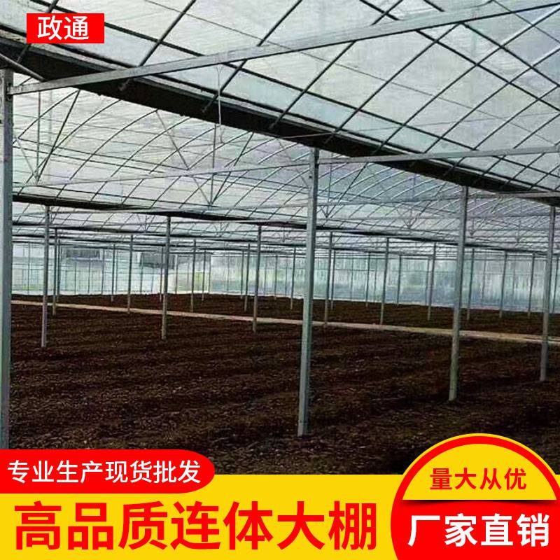 广西蔬菜大棚管政通搭建方法