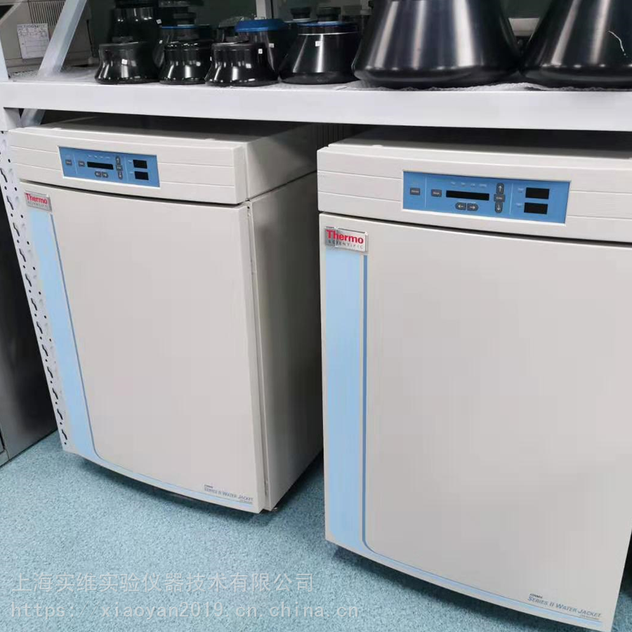 二手thermo培养箱热电二氧化碳培养箱恒温反应培养箱厂家生产