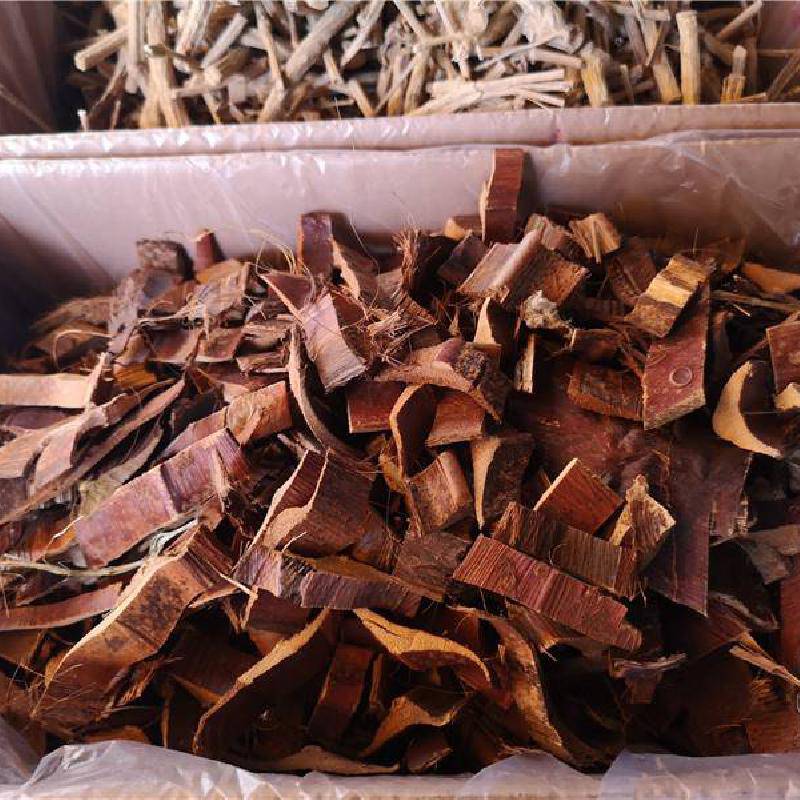 中药材棕榈药用作用棕衣树棕树棕皮哪里可以购买多少钱一公斤