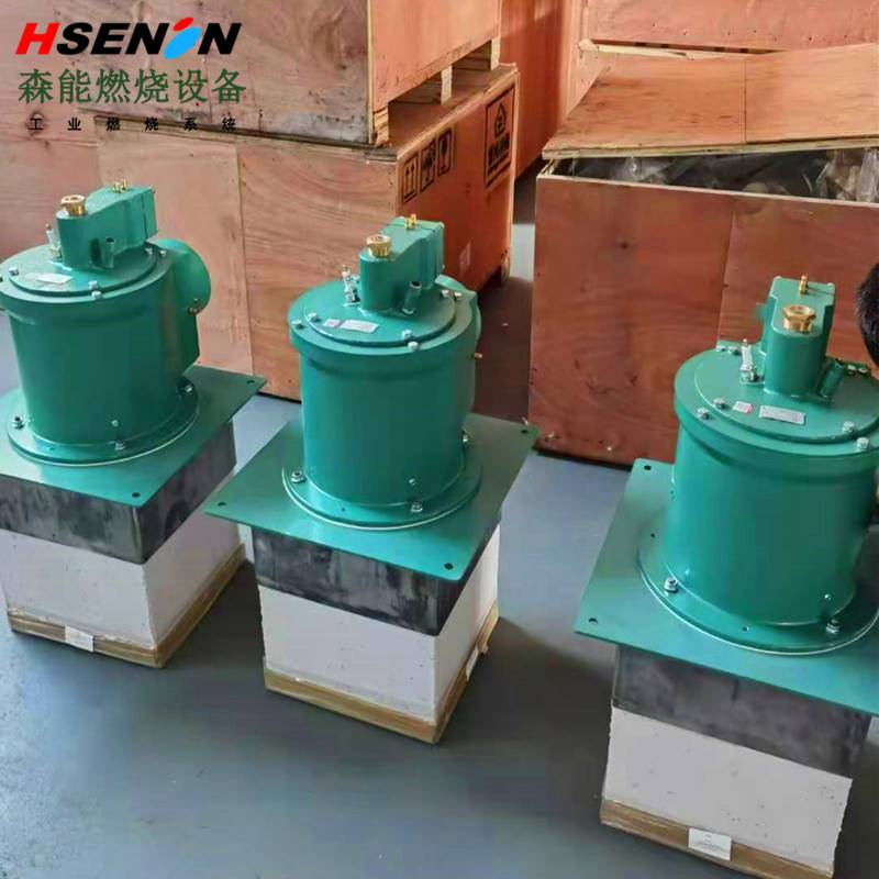 rto燃烧器废气焚烧燃烧器废气催化燃烧设备天然气燃烧器