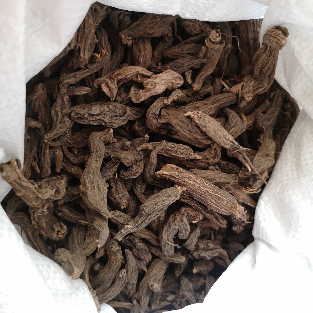 红大戟药用有什么价值紫大戟哪里可以购买到多少钱一公斤