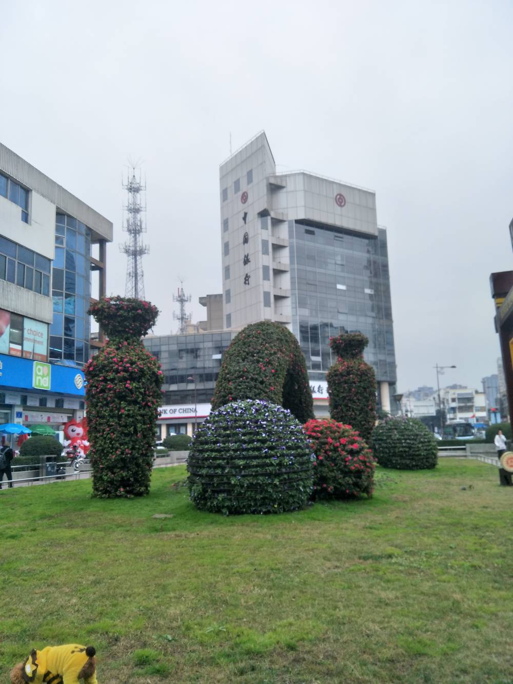 甘肃兰州菊花展造型绿雕五色草绿雕定制