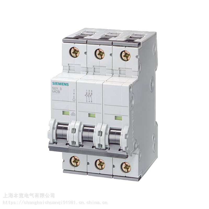 西门子5SY6微型断路器国产5SY6 1P+N C13