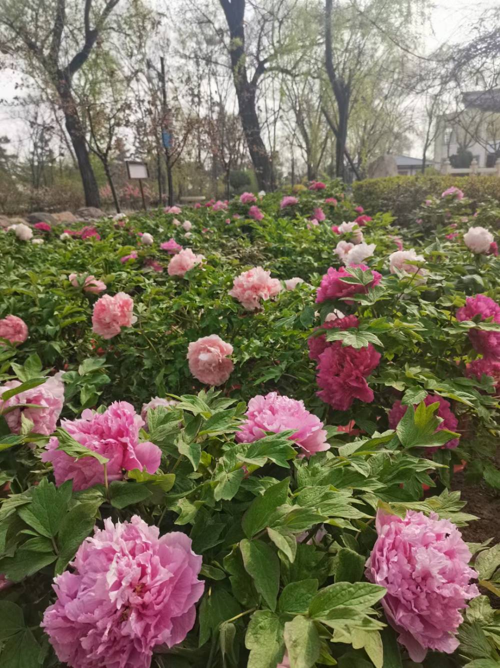 花艺展出租 造浪机租赁 设备出售制作供应商