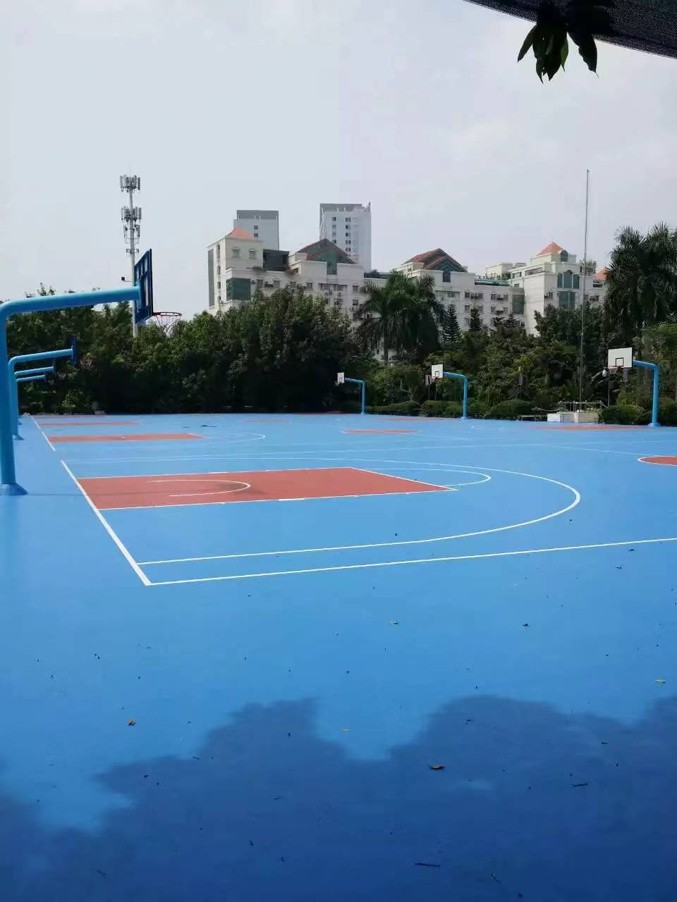 鴨˶طĿˮԻѯ